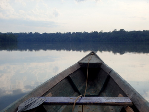 Lago Sandavol (Reserva Nacional Tambopata), Amazon, Peru.